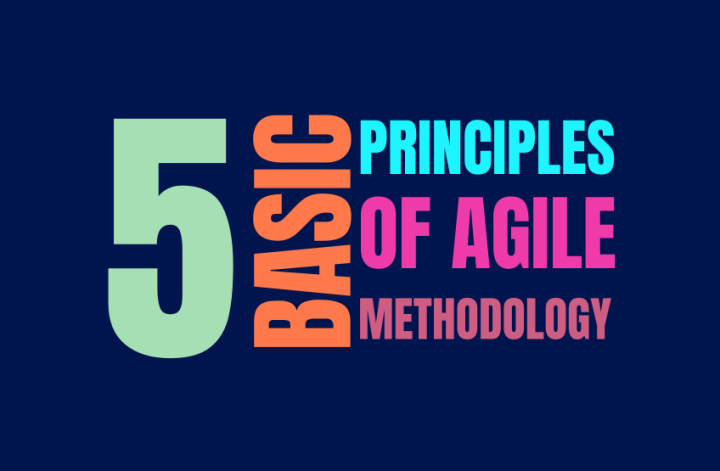 Navigating the Agile Waters: 5 Basic Principles to Guide You